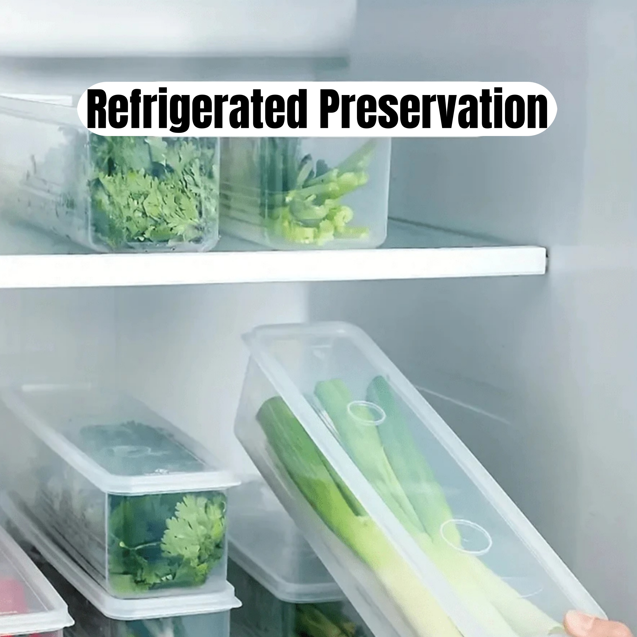 1/2/4Pcs Refrigerator Storage  - Coffee Tea Sugar Container Set reseña y precio