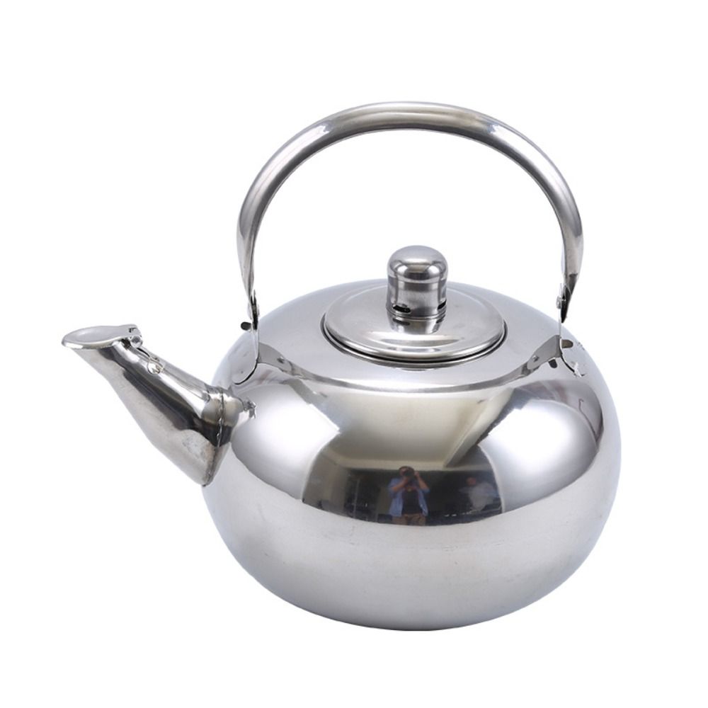 Portable Stainless Steel Water - Coffee Tea Water Heater reseña y precio