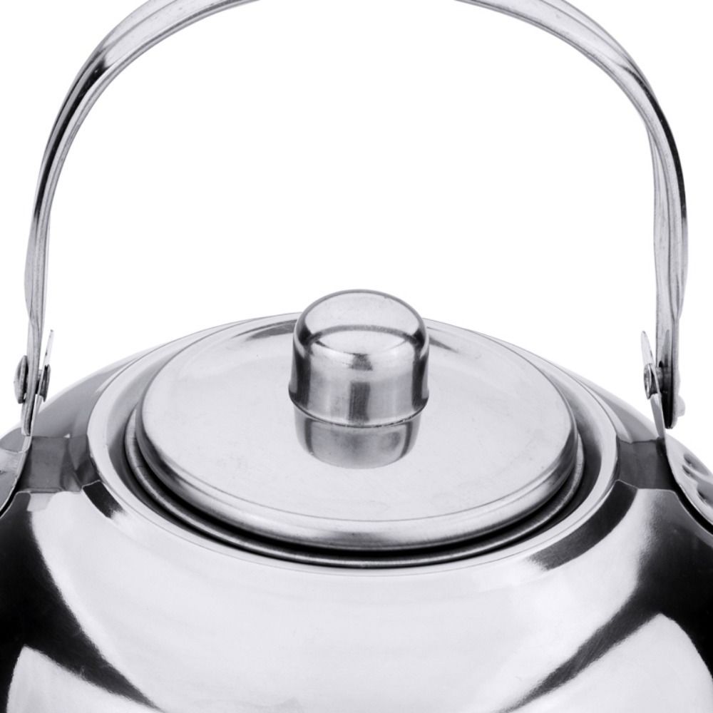 Portable Stainless Steel Water - Coffee Tea Water Heater reseña y precio